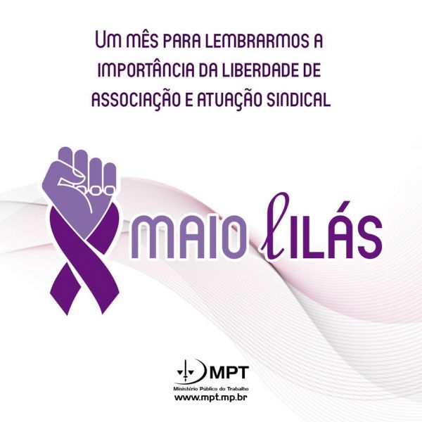 maio lilas